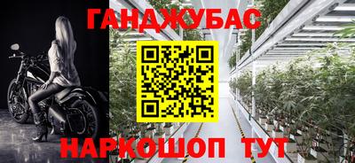 шишки Чебоксары