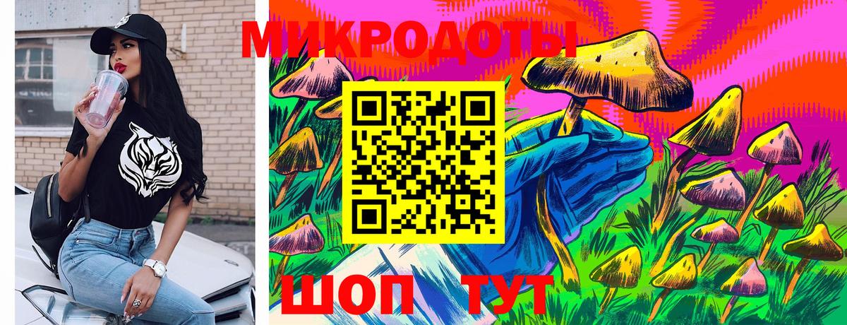 Псилоцибиновые грибы Cubensis Междуреченск