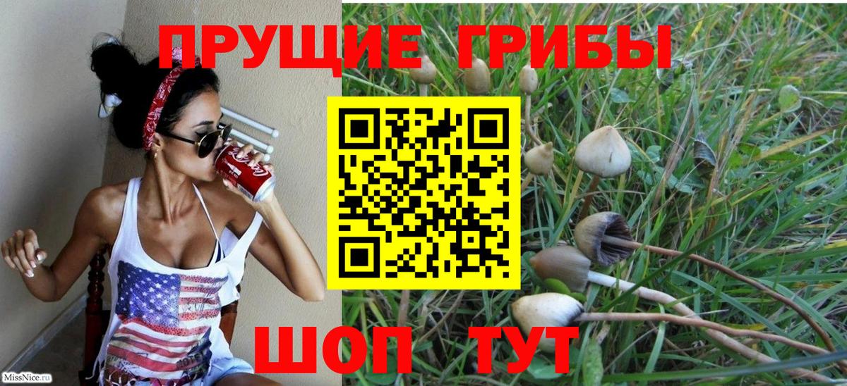 Междуреченск  Псилоцибиновые грибы Cubensis  Вход с VPN 
